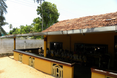 DSCN1373