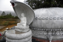 DSCN0175