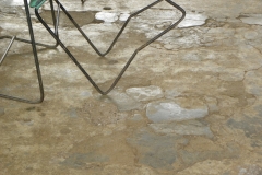 DSCN0061
