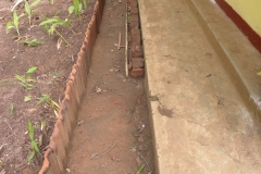 DSCN9395